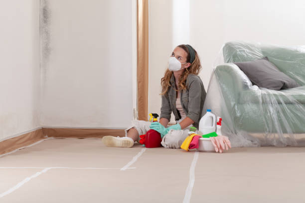 Reliable Mold Testing contractor in Rosedale, MD by WQB Mold Removal